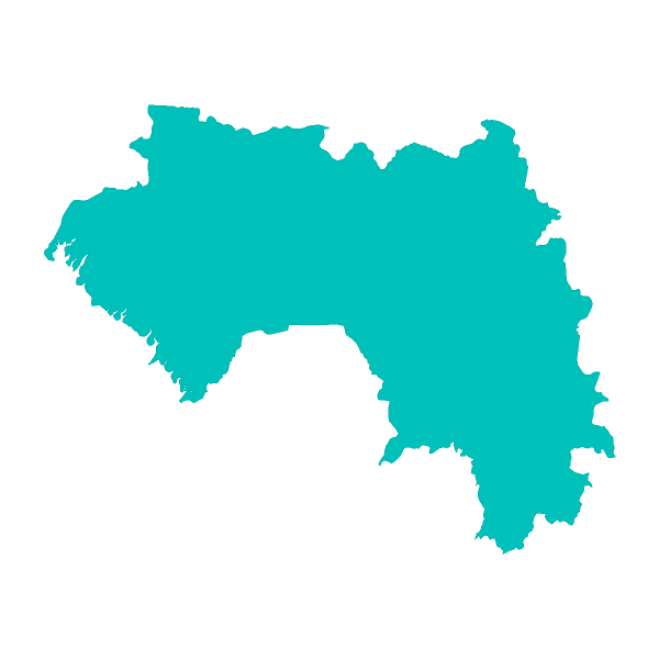 Guinea